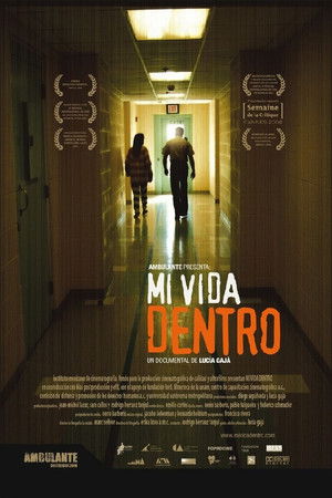 Mi vida dentro poszter
