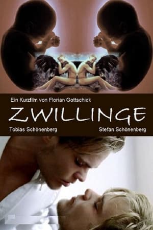 Zwillinge poszter