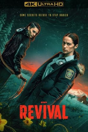 Revival poszter