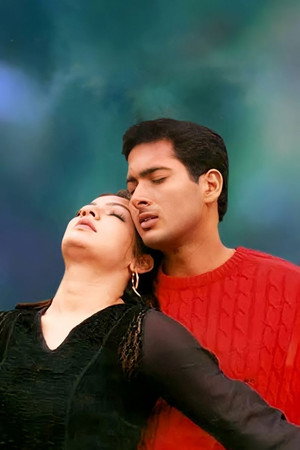 నీ... స్నేహం! poszter
