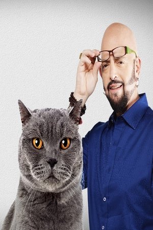 Pokoli macskák poszter