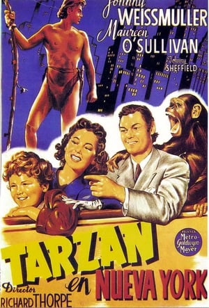 Tarzan New Yorkban poszter