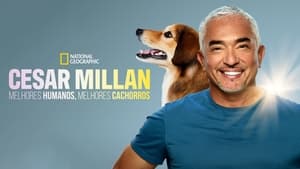 Cesar Millan: Jó gazdi, jó kutya kép