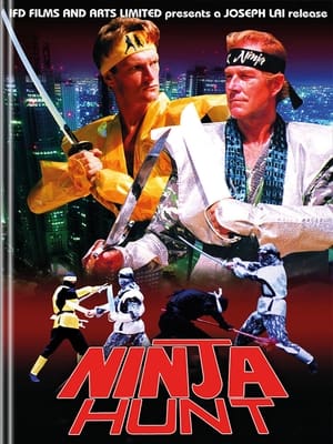 Ninja Hunt poszter