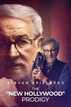 Steven Spielberg, l'homme et l'enfant poszter