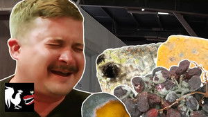 RT Life Season 7 Ep.65 65. epizód