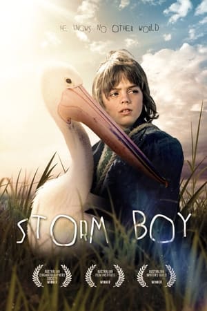 Storm Boy poszter