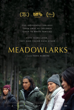 Meadowlarks poszter