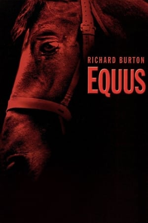 Equus poszter