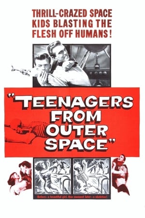 Teenagers from Outer Space poszter