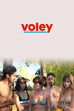 Voley poszter