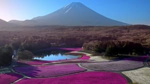 Japon, aux racines du soleil háttérkép