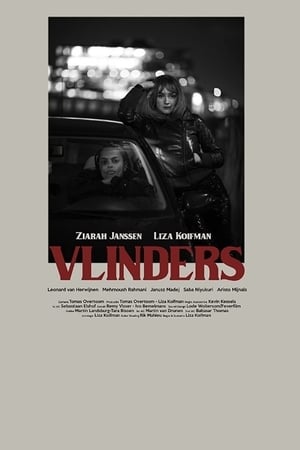 Vlinders poszter