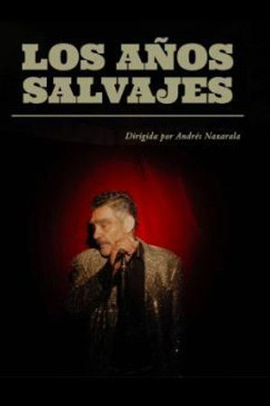 Los años salvajes poszter