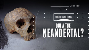 Science grand format 2. évad Ep.45 45. epizód