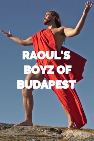 Raoul's Boys of Budapest poszter