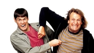 Dumb és Dumber - Dilibogyók háttérkép