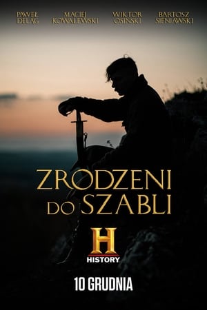 A szablya fiai poszter