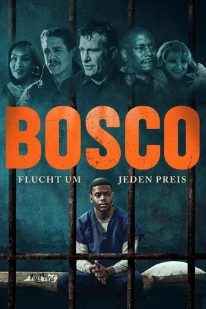 Bosco poszter