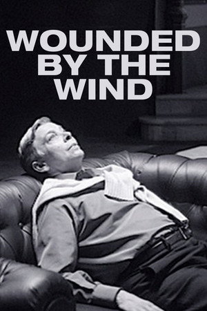 Las heridas del viento poszter