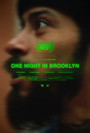 One Night in Brooklyn poszter