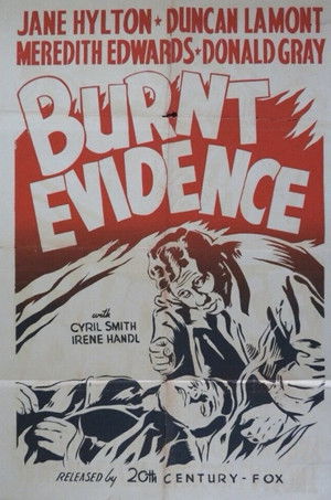 Burnt Evidence poszter