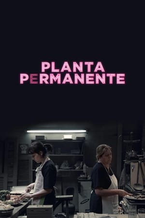 Planta permanente poszter