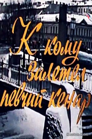 К кому залетел певчий кенар poszter