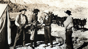 Mule Train háttérkép