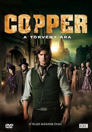 Copper - A törvény ára