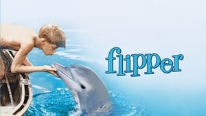 Flipper háttérkép