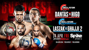 Bellator 177: Dantas vs Higo háttérkép