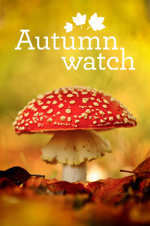 Autumnwatch poszter