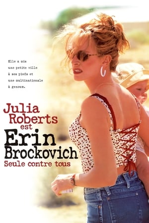 Erin Brockovich - Zűrös természet poszter