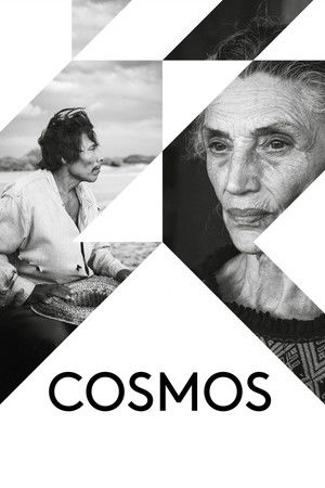 Cosmos poszter