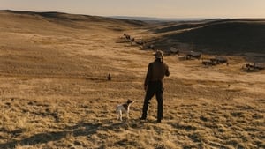 Buster Scruggs balladája háttérkép