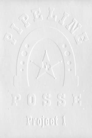 Pipeline Posse: Project 1 poszter