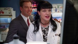 NCIS: Tengerészeti helyszínelők 6. évad Ep.16 Őrségváltás