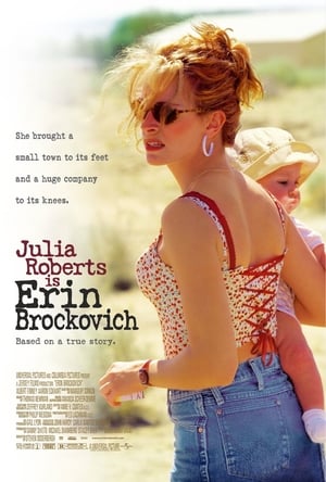 Erin Brockovich - Zűrös természet poszter