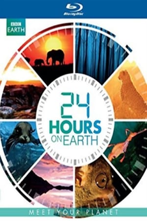 24 Hours on Earth