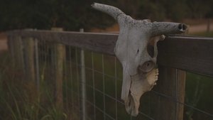 Cold Case Files: Dead West 1. évad Ep.1 1. epizód