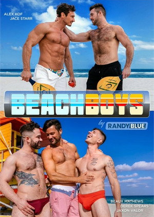 Beach Boys poszter