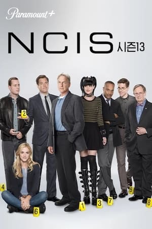 NCIS poszter