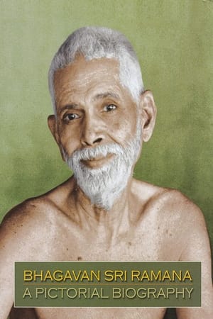 How to put advaita teachings into practice. Michael James on Bhagavan's Who-Am-I (Naan Yaar)