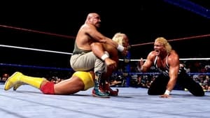 WWE SummerSlam 1991 háttérkép