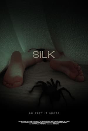 Silk poszter