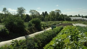 La ferme et son état háttérkép