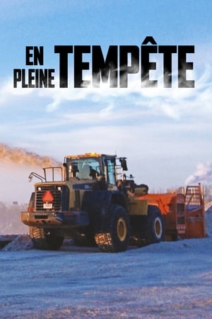 En pleine tempête poszter