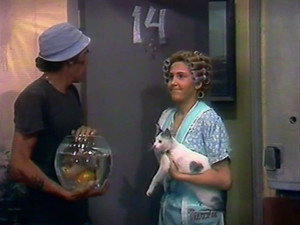 El Chavo del Ocho Season 1 Ep.15 15. epizód