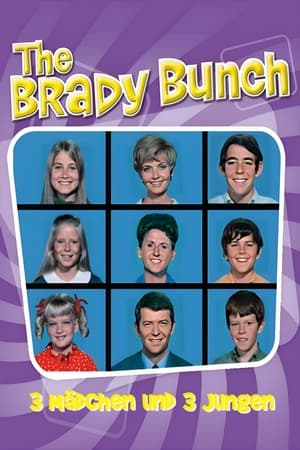 The Brady Bunch poszter